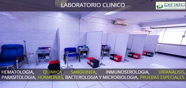 Teléfono Laboratorio Clínico
